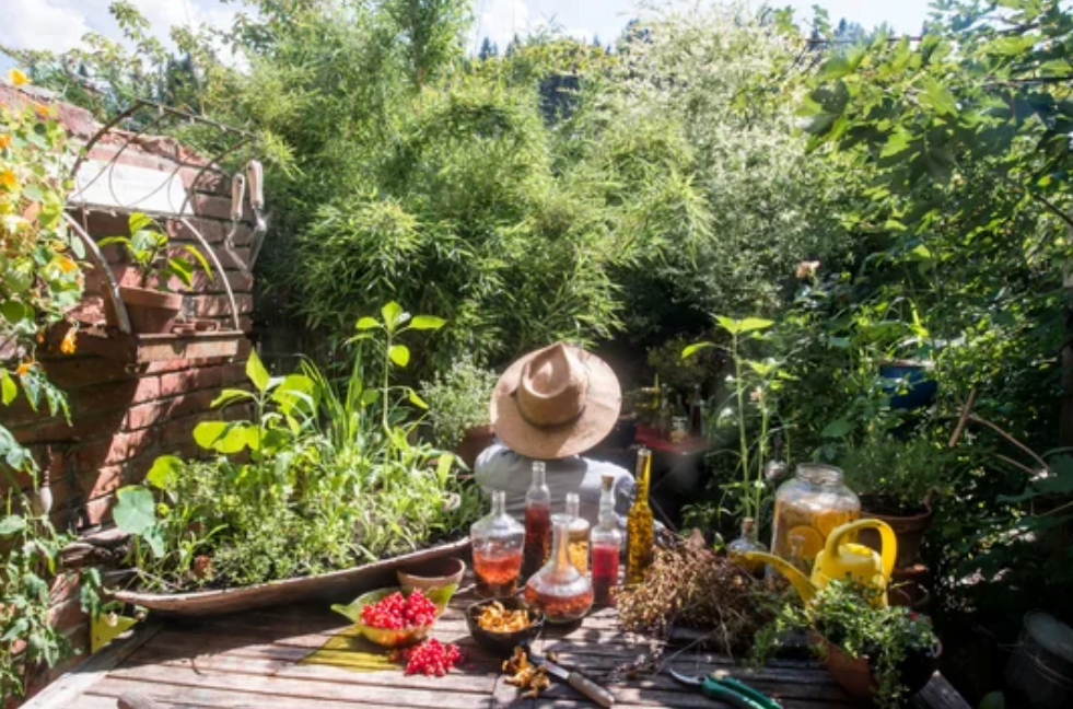 Horticultural Vinegar in the Garden